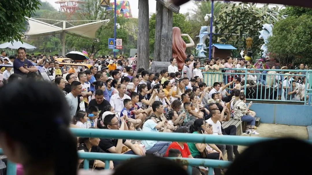 1682485168779951.jpg 1682485168779951.jpg