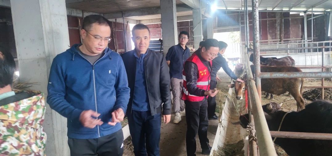 1706073360235168.jpg 1706073360235168.jpg