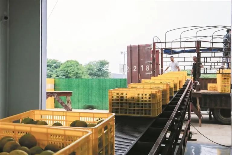 1717642738202206.jpg 9015ae197f8dfed900d8d890297640b8.jpg